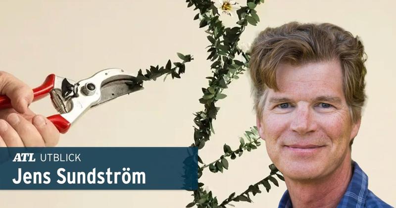 ”Låt konsumenterna styra tillämpningen av gentekniken”