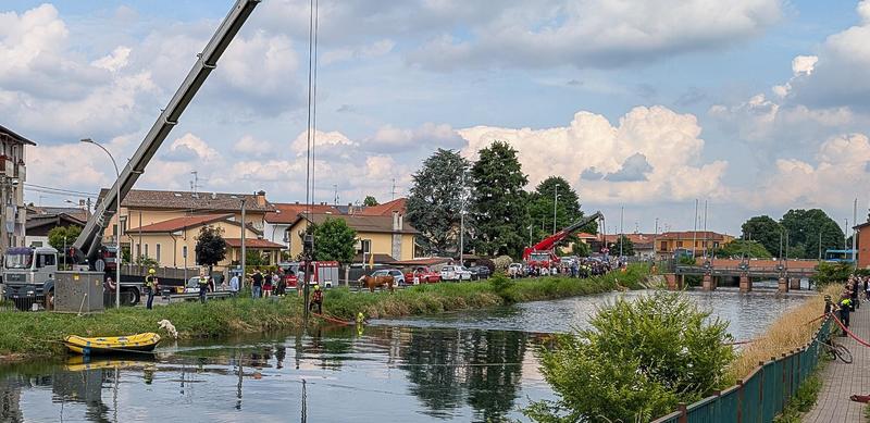Mucche cadute e morte nel Villoresi, l’ombra del dolo: qualcuno ha aperto il recinto e le ha fatte fuggire?