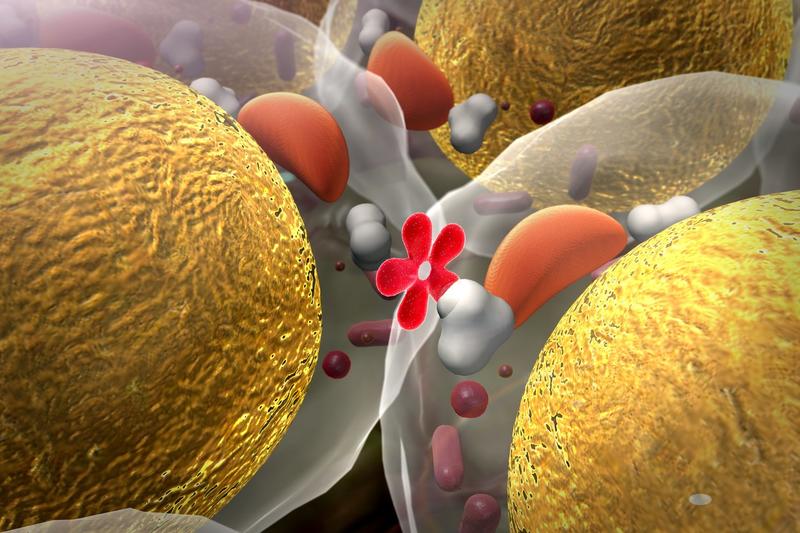 Insulina settimanale disponibile in Italia: cosa cambia per i pazienti diabetici