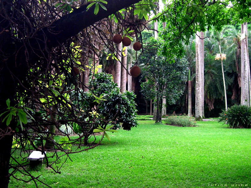 El Jardín botánico tiene un hermano en Londres