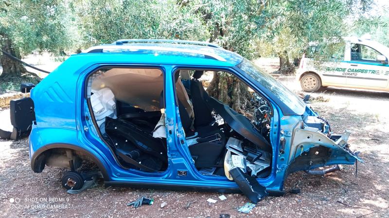 Carcasse di tre auto rinvenute tra gli ulivi: rubate a Ruvo e a Barletta Le foto