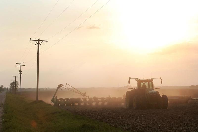 A Smuggled Pathogen Raises Specter of Chinese Agroterrorism
