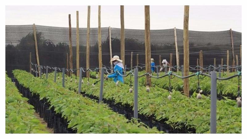 Con respeto, pero discrepo: la nueva Ley Agraria