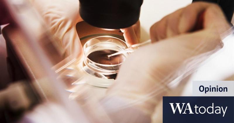 The collateral damage from Monash IVF’s colossal embryo bungles
