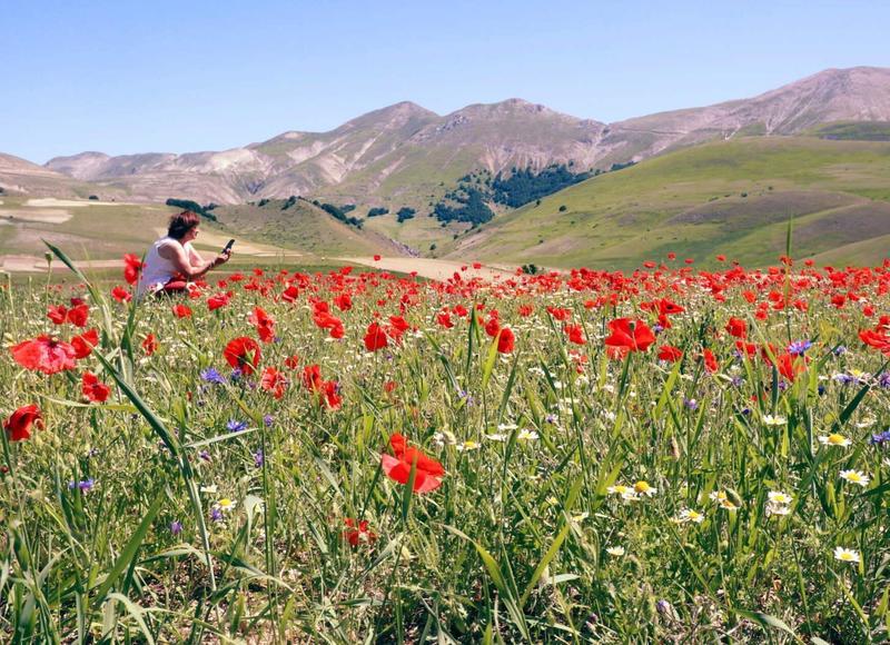 Dalle Marche a Castelluccio: il piano della mobilità per la fioritura