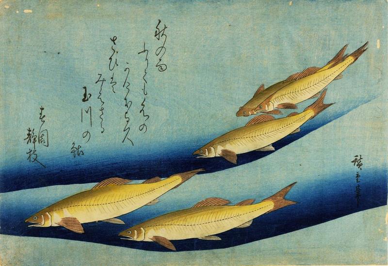 ‘Graphic Japan: da Hokusai al Manga’, una mostra celebra il Giappone: le date