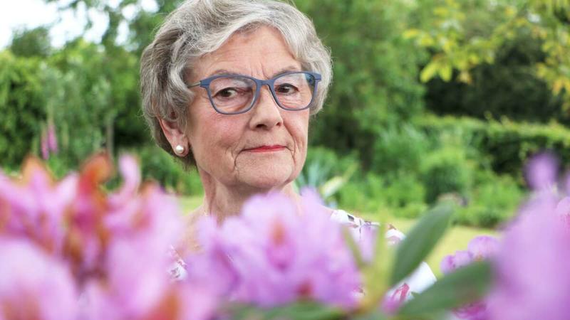 Midtjyske Meninger: Hvad skuer mit øje?
