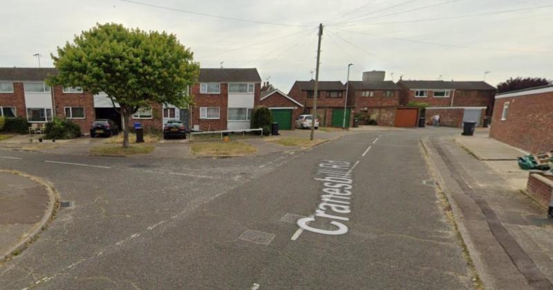 Vans targeted by men wearing face coverings as thieves strike