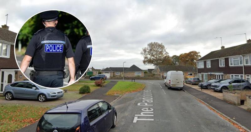 Woman arrested after man is assaulted and cars damaged