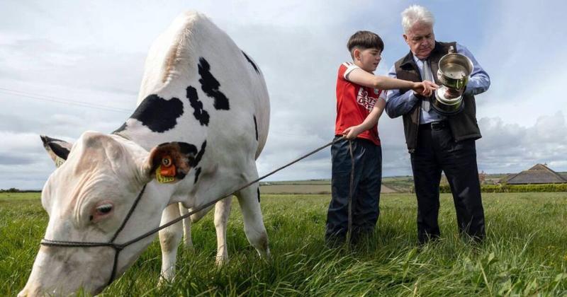 'Cork Summer Show is a chance to unite rural and urban'
