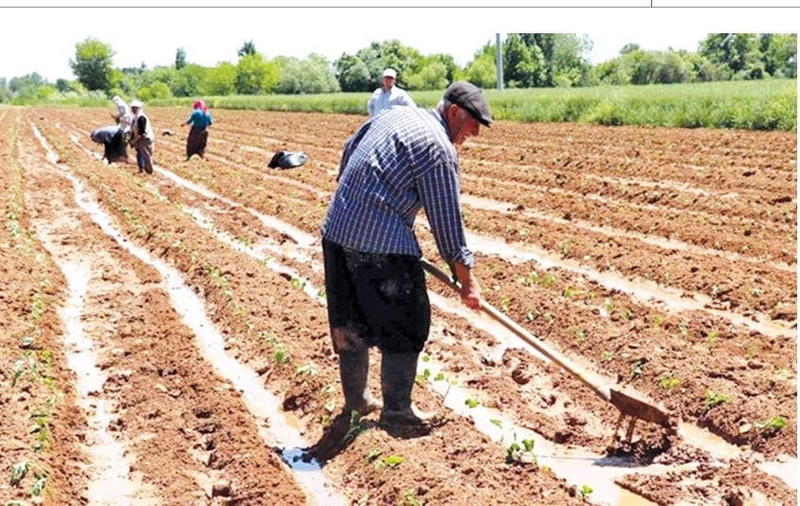 Tarımda daha zor dönemlere hazır olmalıyız