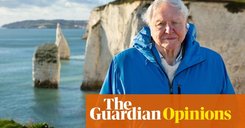 Attenborough’s Ocean is the film I’ve been waiting my whole career for – now the world must act on its message