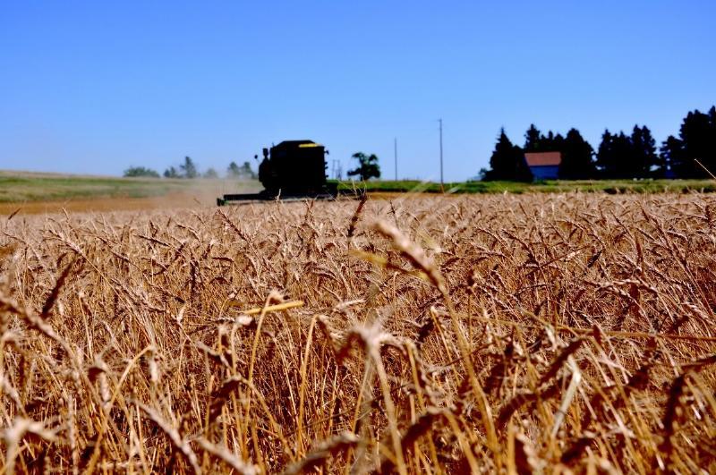 Ending Corruption in Agriculture