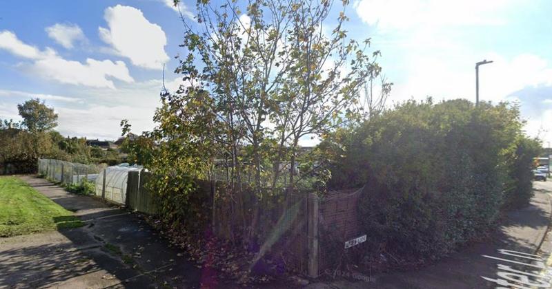 Allotments targeted as thieves strike overnight