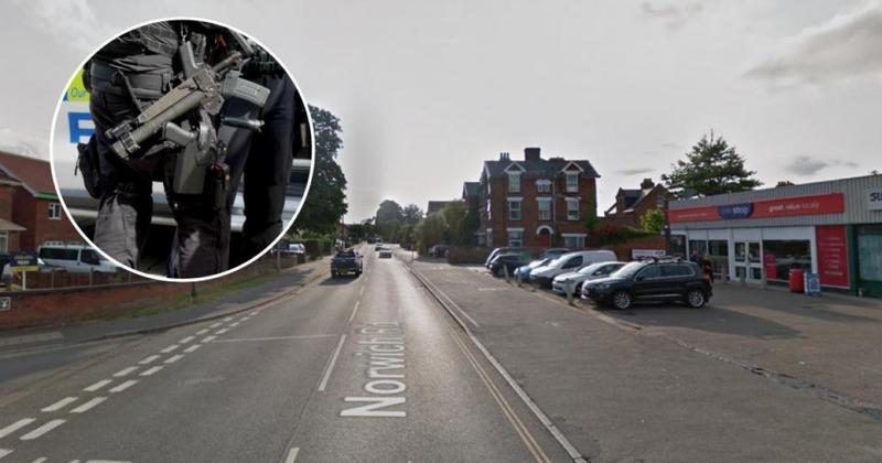 Two people cautioned after shooting reports lead to cannabis farm bust