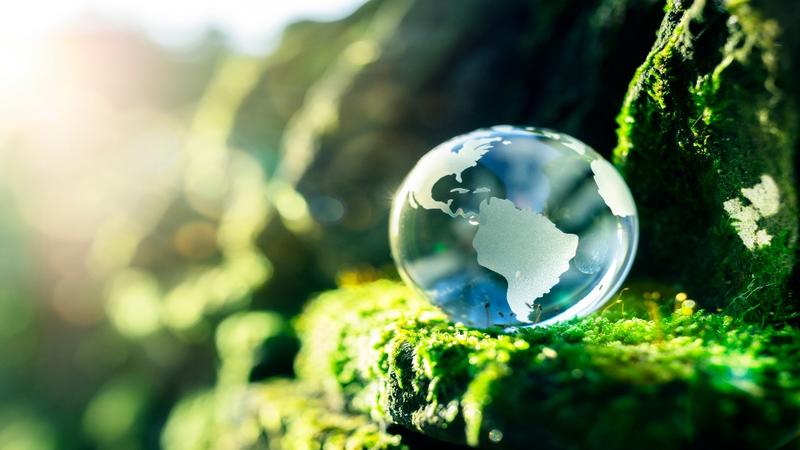 Developing Economies Cannot Afford a Fossil-Free Future Yet