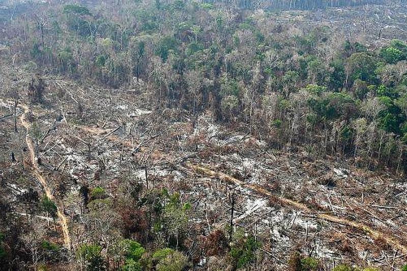 O PL da Devastação e a miopia climática