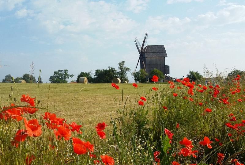 Brandenburger Landpartie: Am Wochenende zeigt sich das Umland von seiner schönsten Seite