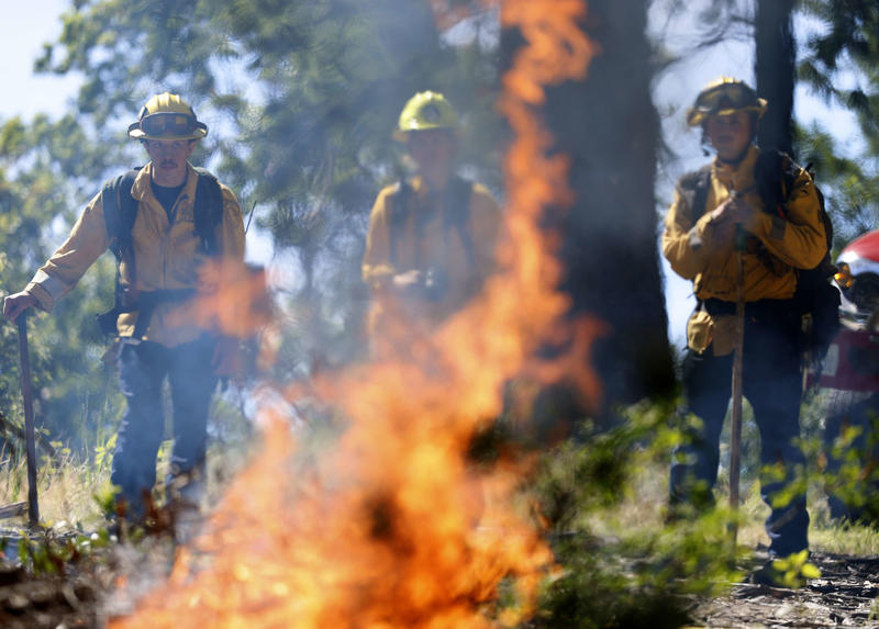 After Massive Cuts to Forest Service, US Enters Fire Season Woefully Unprepared