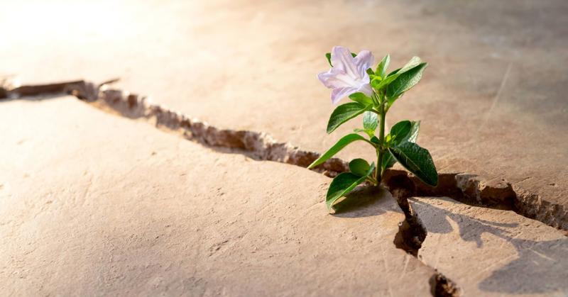 Why Teacher Resilience Matters Now More Than Ever