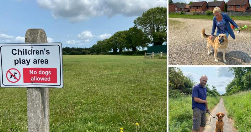 Is this Norfolk's most anti-dog town? Owners say they have 'nowhere to go' for walks