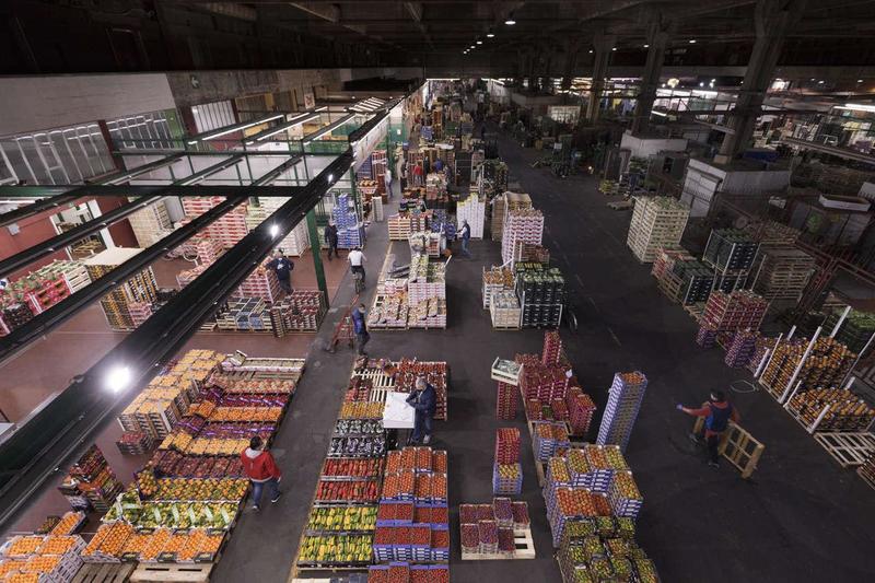 Ortomercato, frasi choc di Ferrero: “Ogni notte 200 scavalcamenti. Ma chi entra poi non ruba in città”