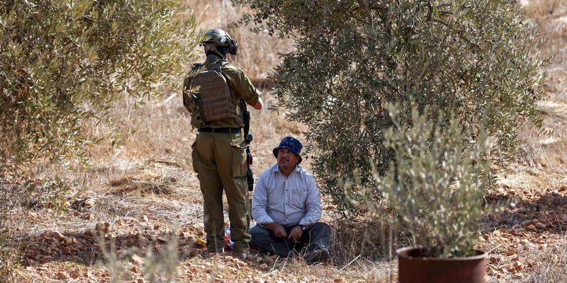 Palestinians Do Not Need to Learn Land Cultivation Elsewhere