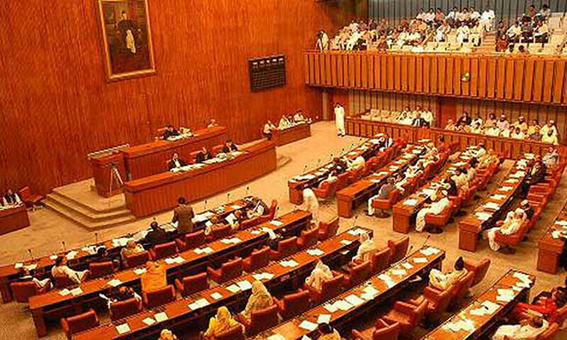 Budget 2025-26: Senate panel opposes arrest powers for tax commissioners