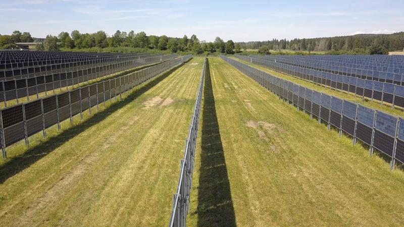 Energia | Yliö: Samaa peltoa voidaan käyttää tehokkaasti viljelyyn ja aurinkosähkön tuotantoon