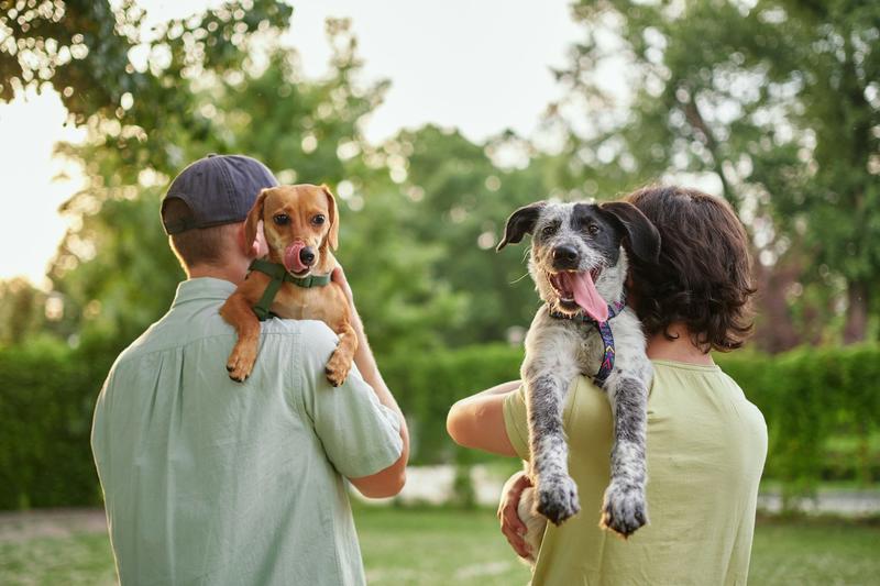 Les gens ressemblent-ils vraiment à leurs chiens ?