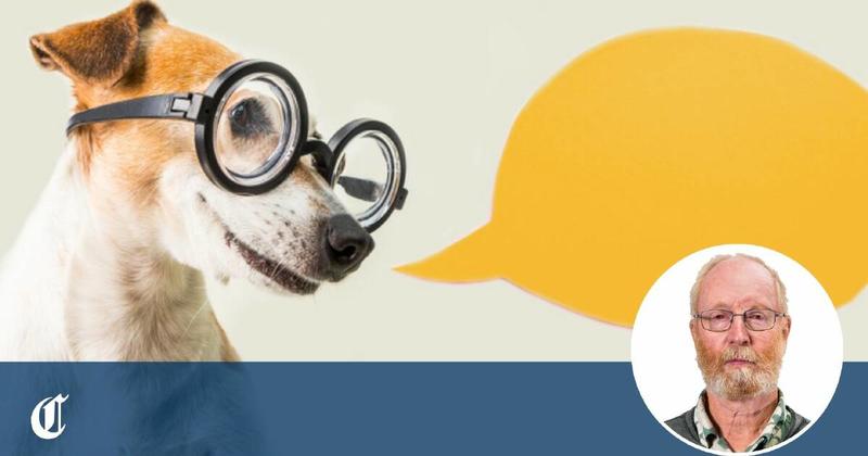Ever wished you could understand what your pet is trying to tell you?