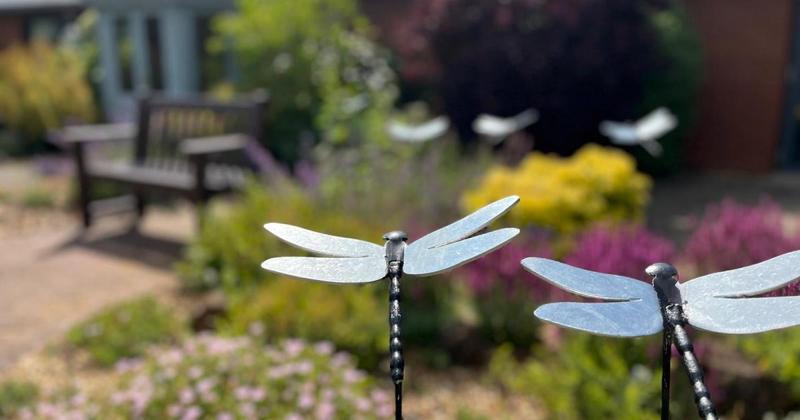 Thousands of handcrafted dragonflies set for 'breathtaking' display