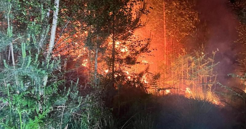 Sharp rise in rural fires as temperatures continue to soar