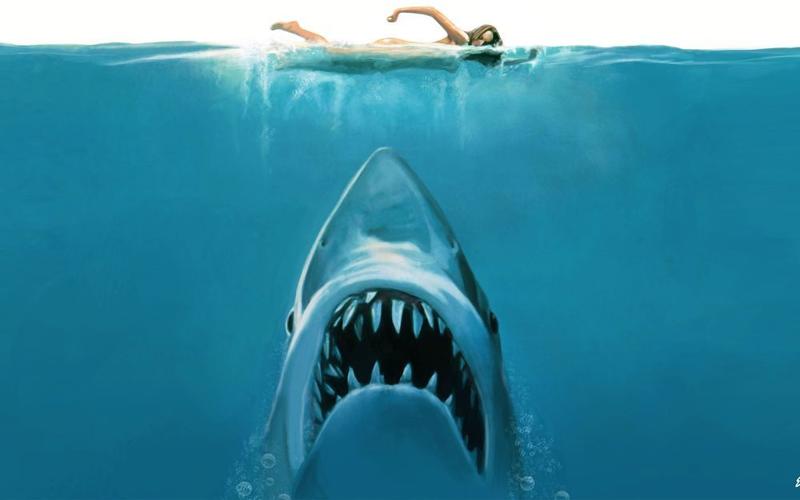 Long: How Jaws changed our perception of white sharks forever