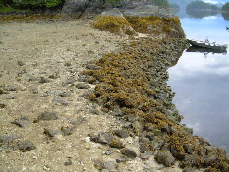 Monique Keiran: Coles Bay clam garden part of tradition that dates back 2,000 years