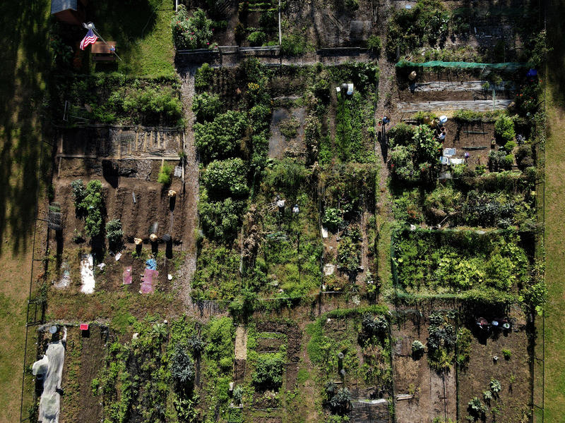 Commentary: What does 'sustainability' really mean?