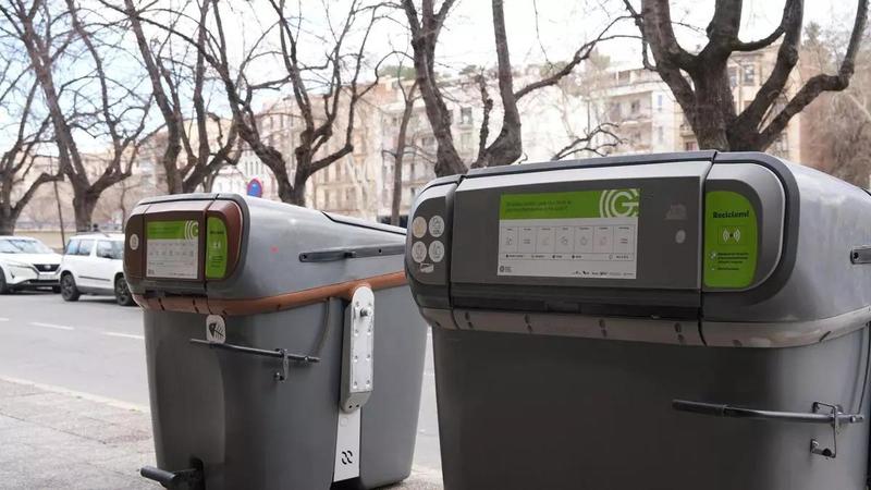 La meva brossa i jo
