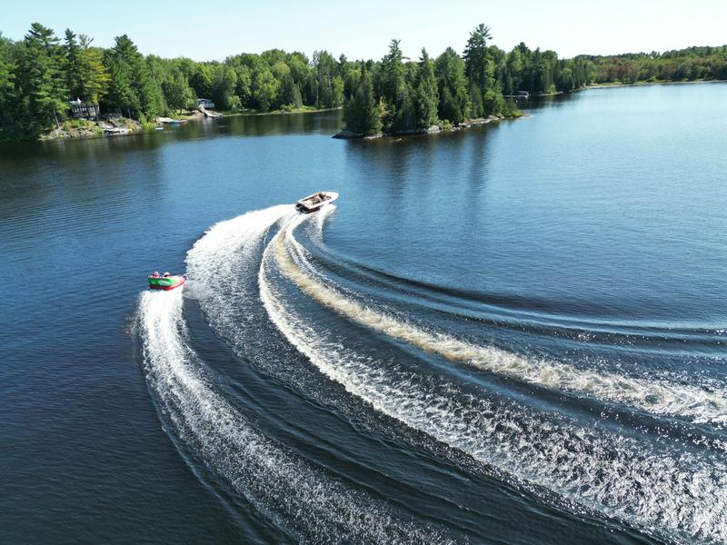Sillage des bateaux : une nuisance, mais aussi une menace pour les rivages d’eau douce et la faune