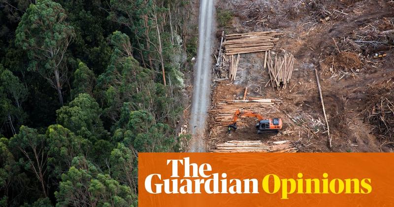 Tasmanian leaders struggle with a basic fact: environment laws should protect the environment