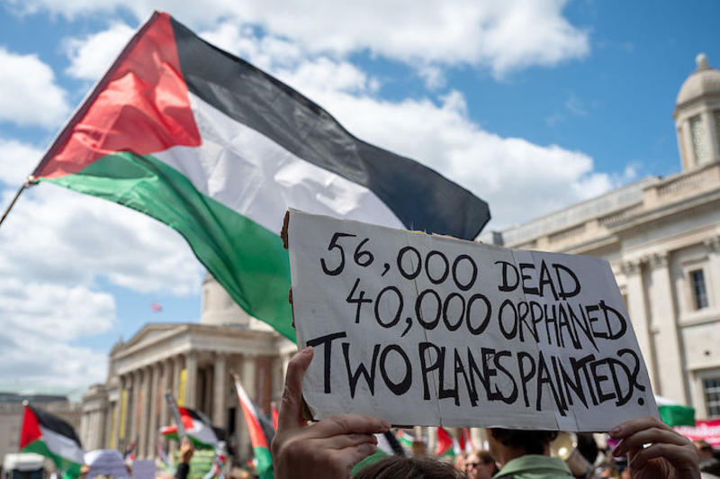 How dare Sally Rooney ‘admire’ Palestine Action