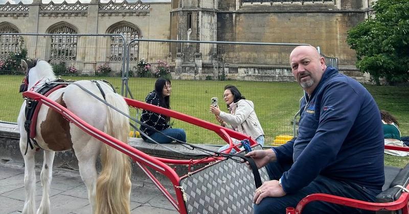 Businessman's horse-cart commute around car ban hailed 'a great idea'