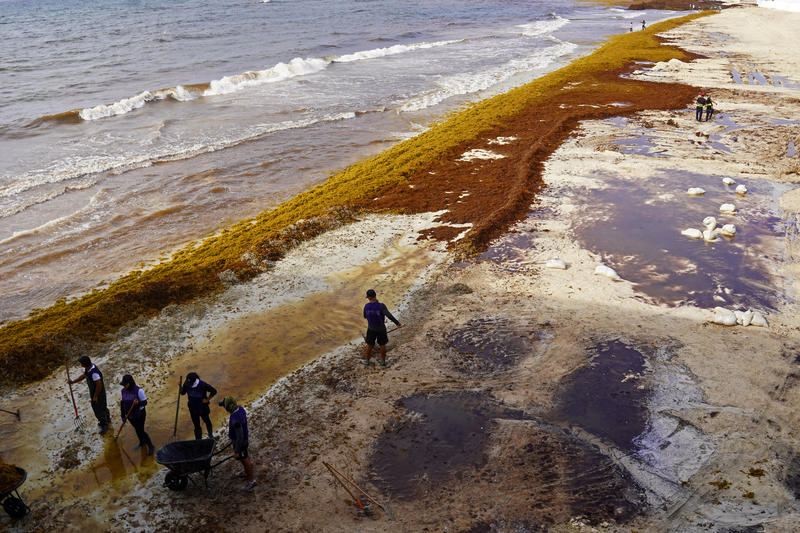10 Steps Needed for Ocean Action Now