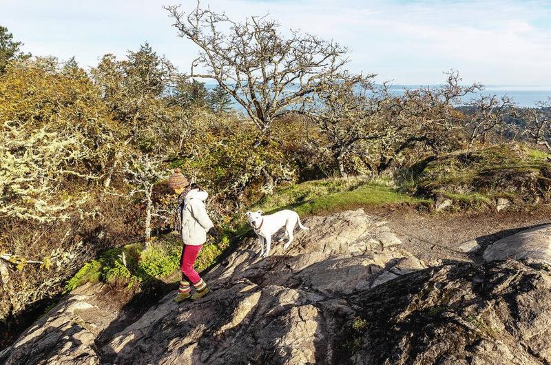 Letters June 24: Drug coverage for nine-year-old; off-leash dogs at PKOLS