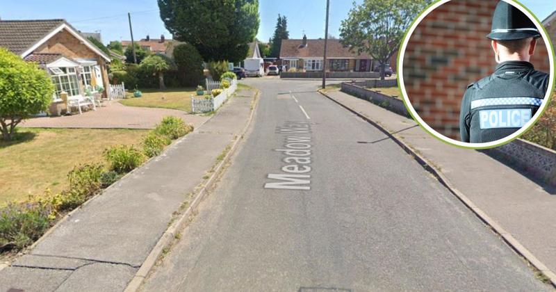 Van targeted as 'large number' of power tools stolen overnight