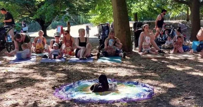 Teddy bear picnic to raise funds for families in need next month