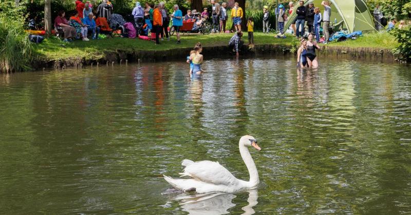 Swimmers campaign to make city landmark an official bathing spot