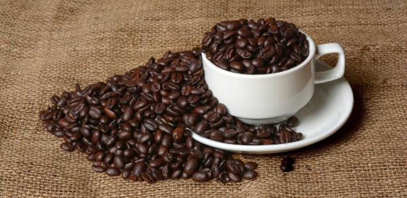 Café: risco climático ameaça recuperação de estoques e bagunça o preço