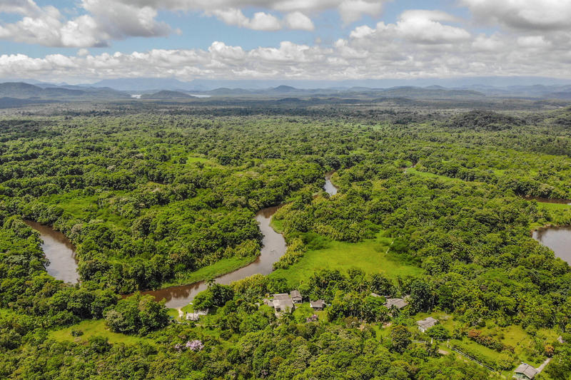 O valor da natureza e biodiversidade