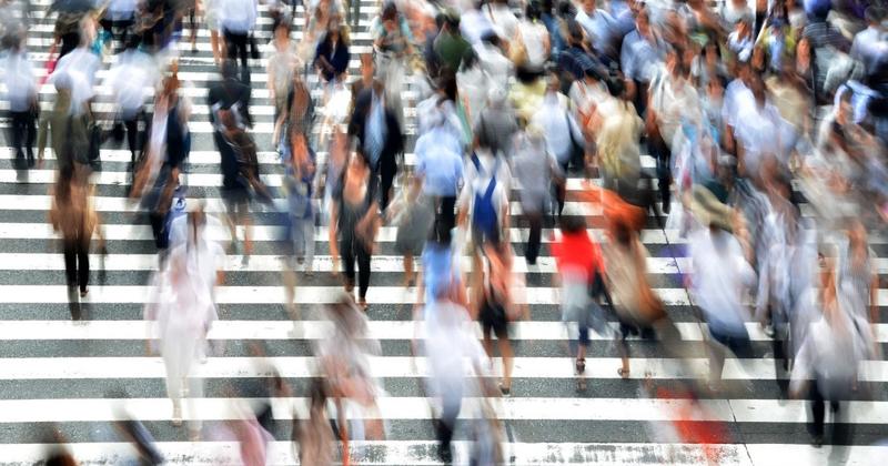 Australia has a lot of migrants. This is who they are