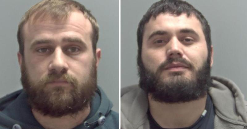 Illegal immigrants caught running £3m cannabis farm in Norfolk countryside